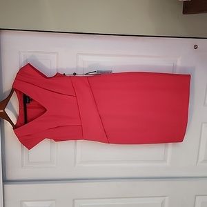Adrianna Papell coral sheath dress (8)
